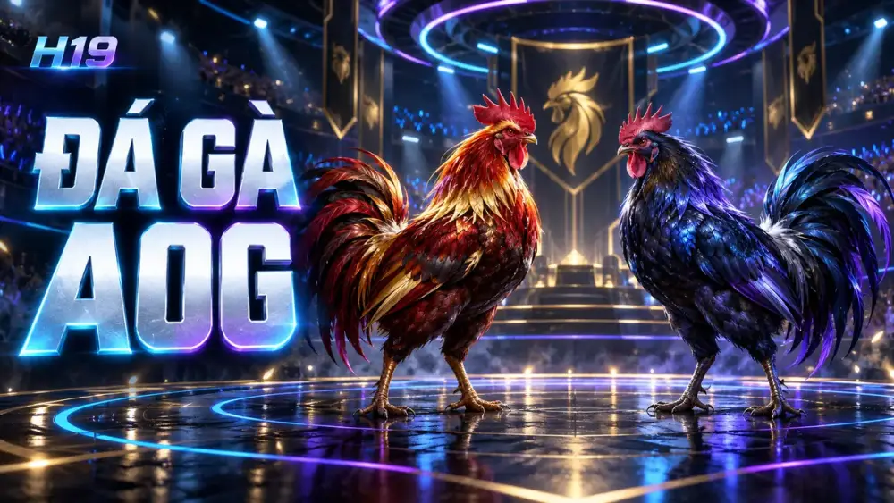 Đá Gà AOG H19 – Sôi Động Từng Màn Tranh Tài Trực Tiếp